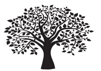 Castro Family Tree